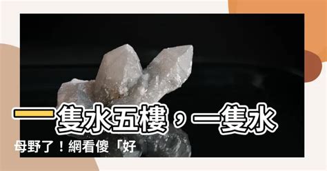 一隻水五樓